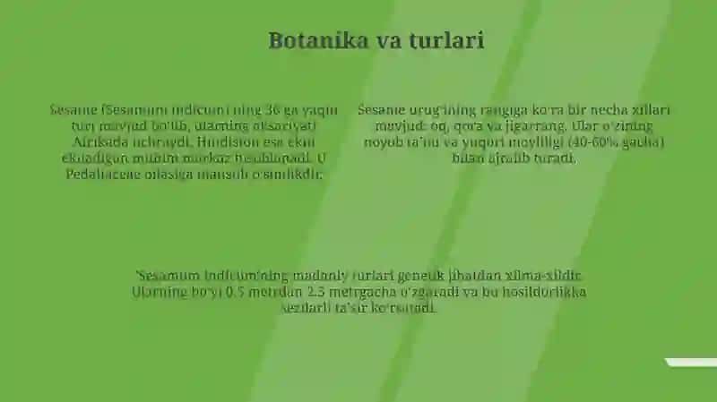 Kun Jut Urugʻlari 4
