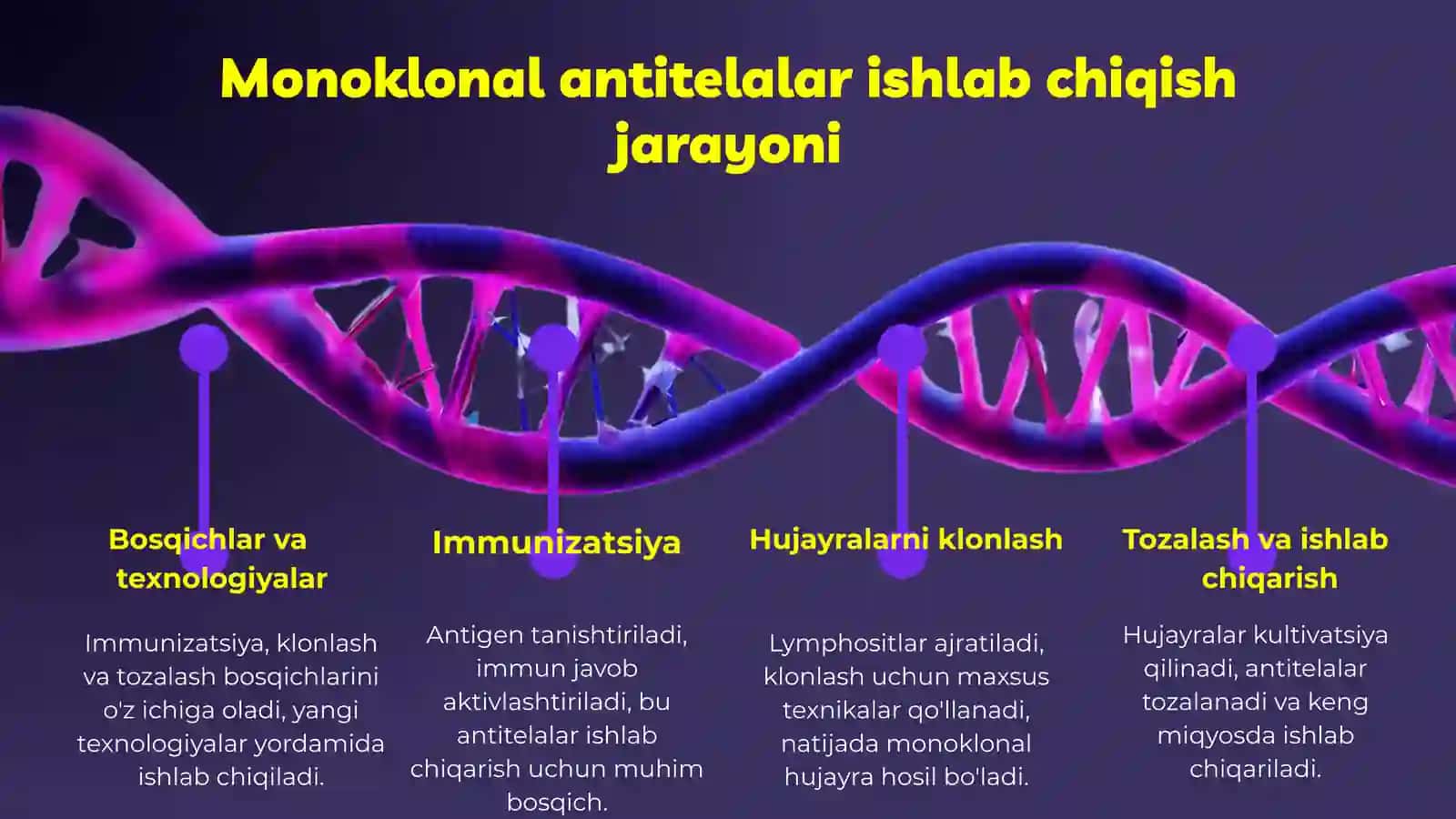 Monoklonal antitelalar va tibbiyot amaliyotlarida qoʻllanilishi 4