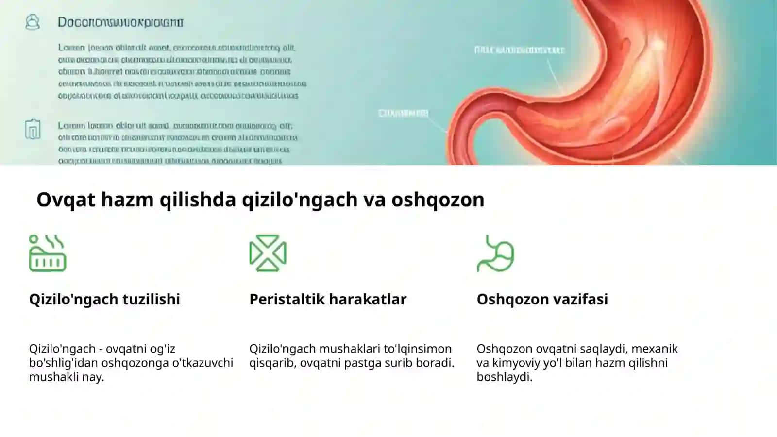 Ovqat hazm qilish: sog'lom hayot kaliti 4