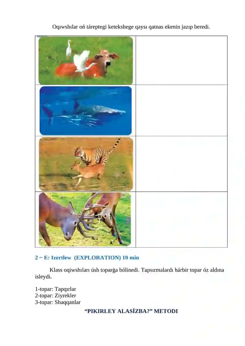 Biologiya Sabaq Islendesi 4