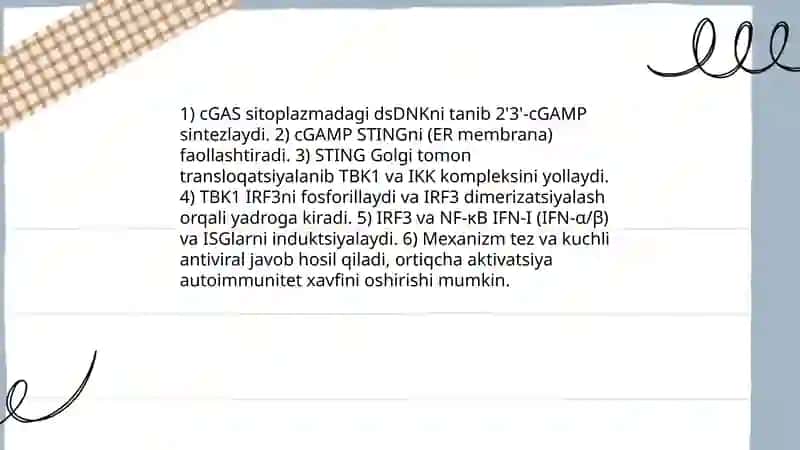 Interferon va sitokinlar sintezlanishi tasir mexanizmi 4