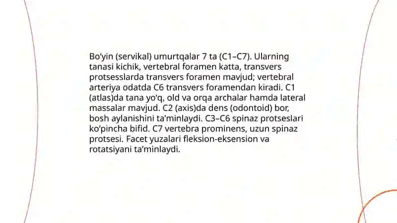 Umurtqa pogʻonasining tuzilishi 4