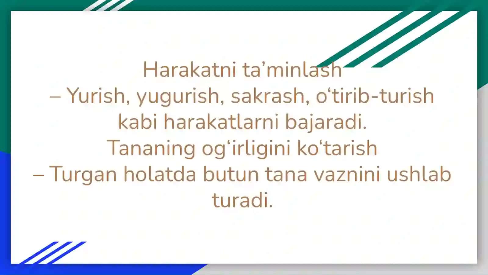 Oyoq muwaklarını vazıfası 4