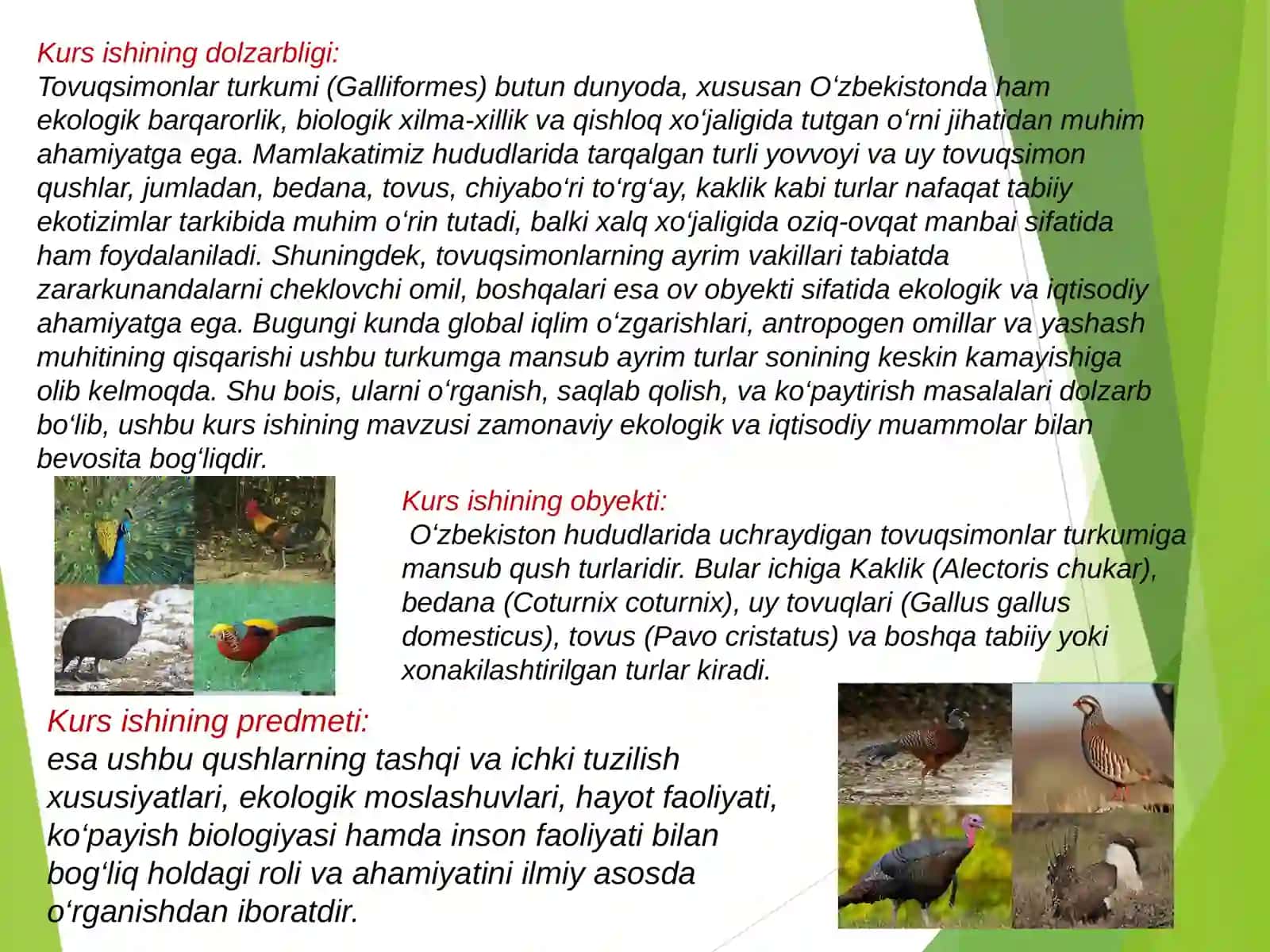 Biologiya yoʻnalishi 4