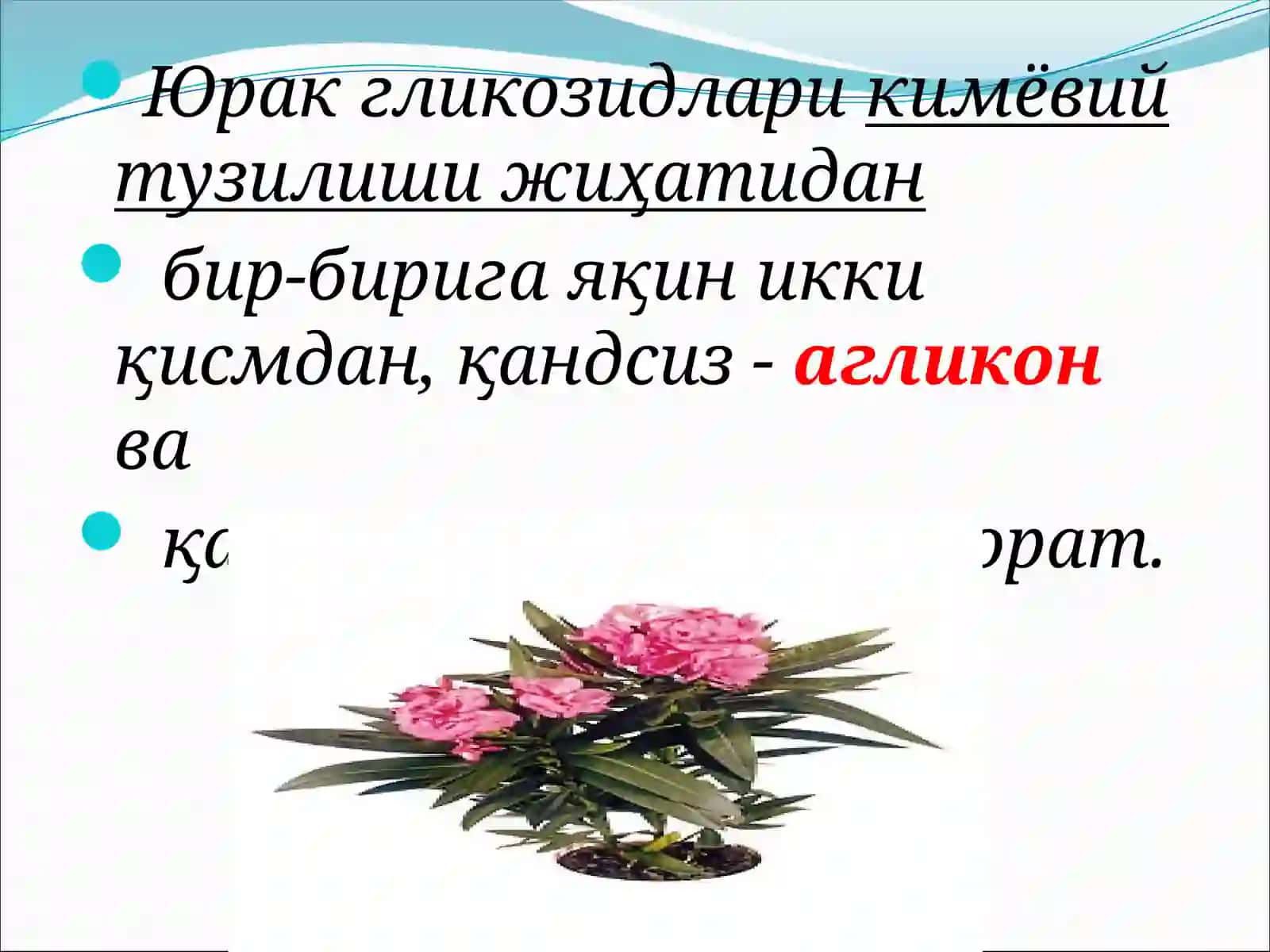 Юракгликозидлари 4