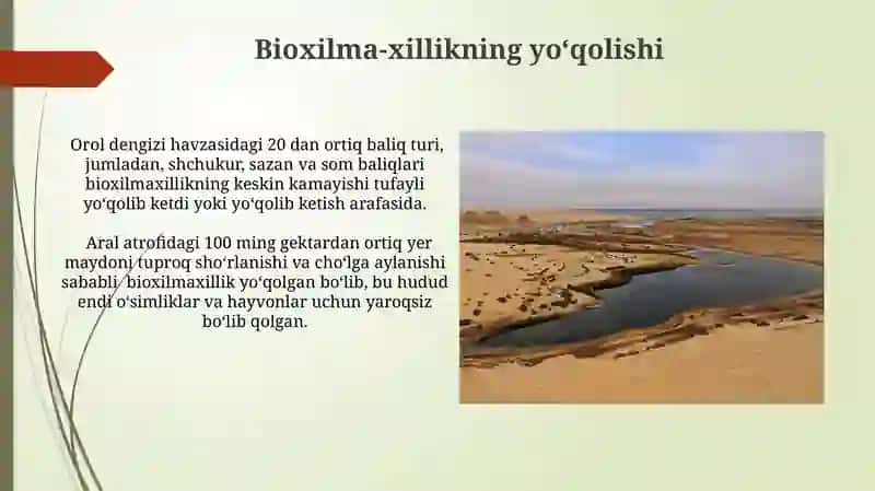 Orol Dengizining Geoekologik Muammolari 4
