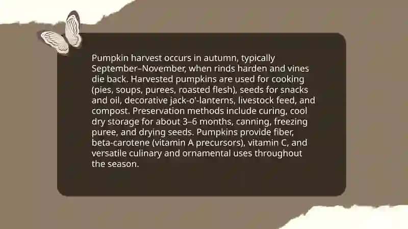 Autumn 4
