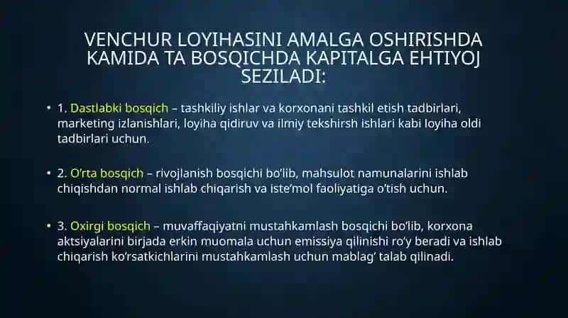 Yuqori riskli (venchurli) investitsiyalarni moliyalashtirish 4