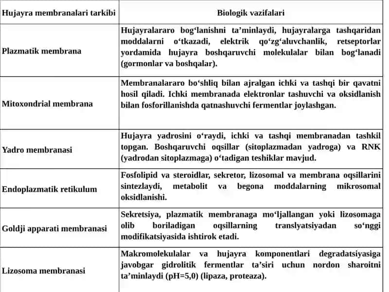 Biologik Membranalar.Biologik Oksidlanish 4