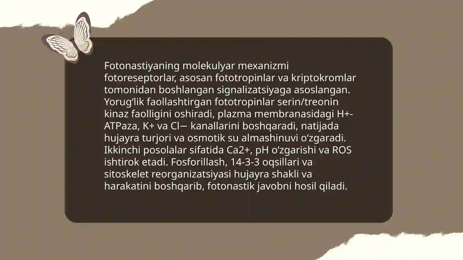 Fotonastiya 4