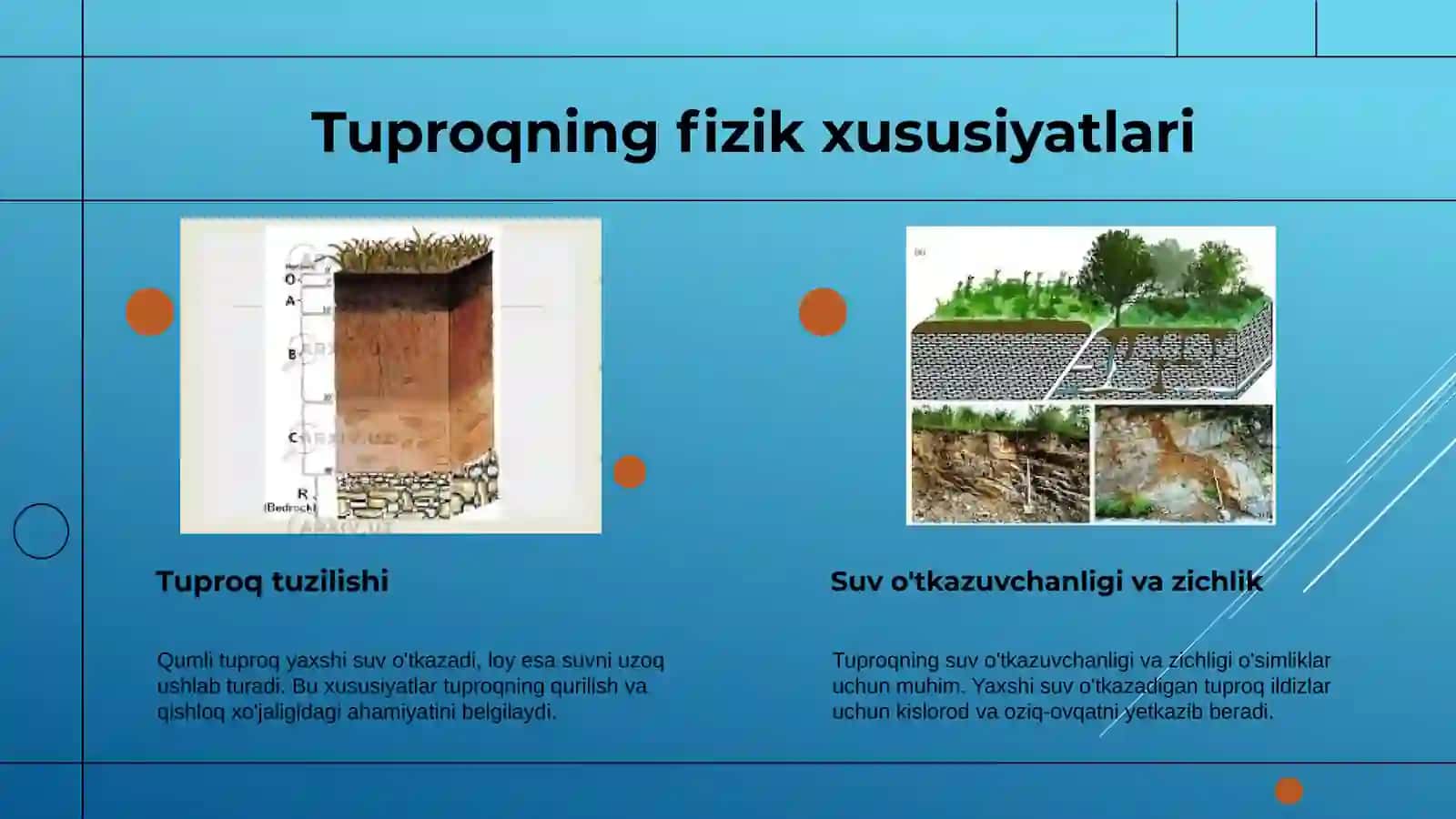 Tuproq va uning tabiiy xususiyatlari 4