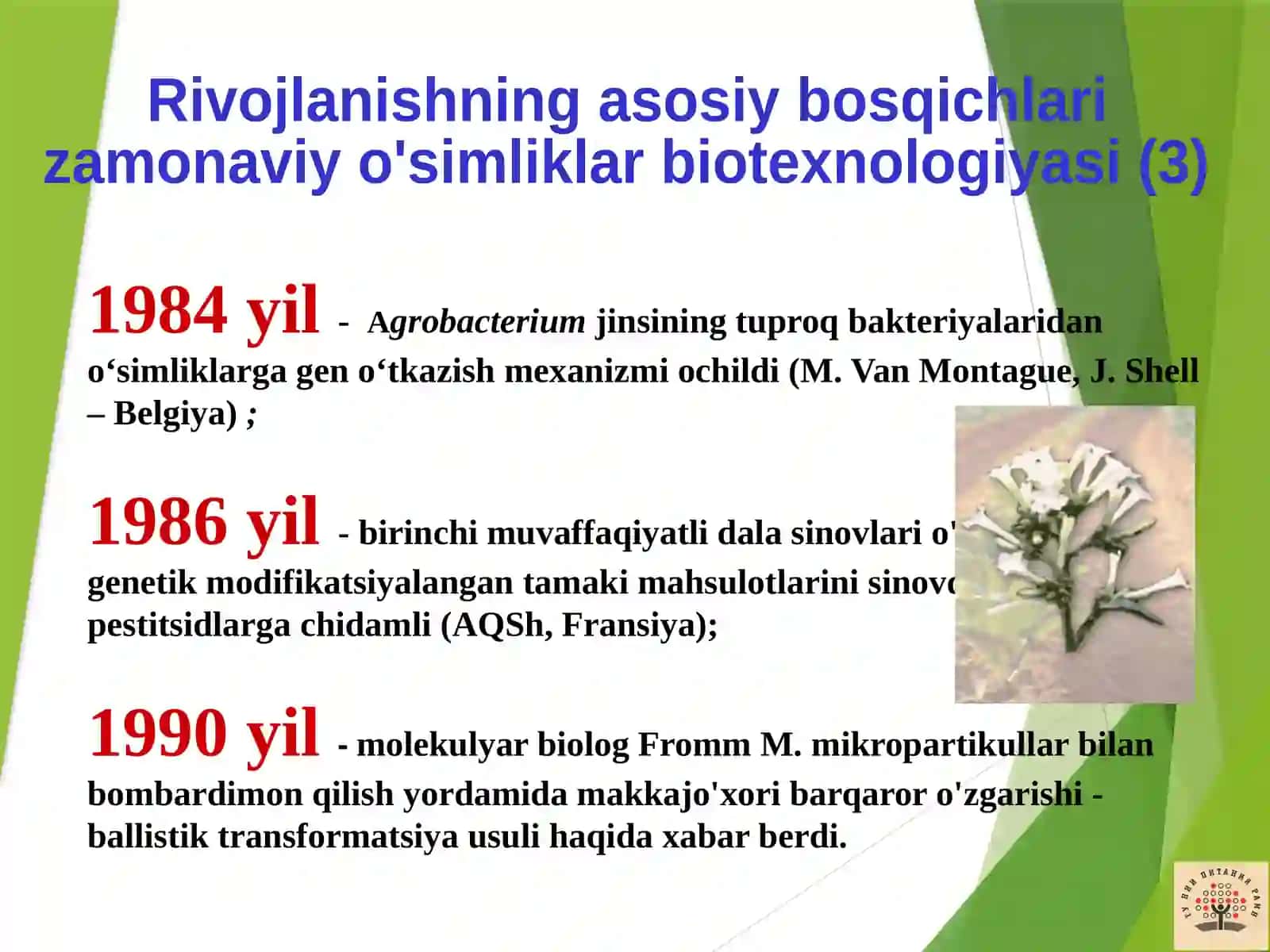 Genetik O‘zgartirgan Organizmlar 4