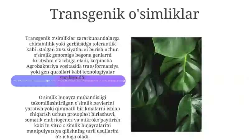 Oʻsimliklar hujayra muhandisligi 4
