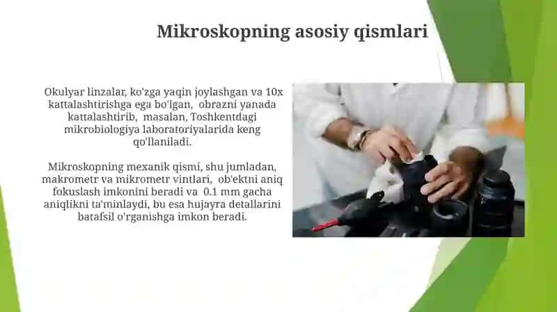 Mikroskop 4