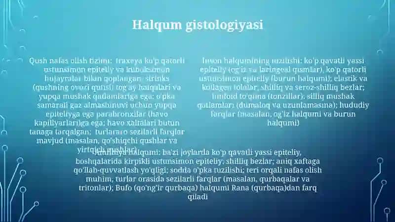 Nafas olish aʼzolarining qiyosiy gistalogik tavsifi 4