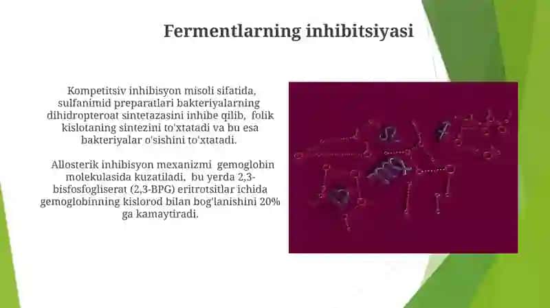 Fermentlar ishtirokida boradigan reaksiyalar 4