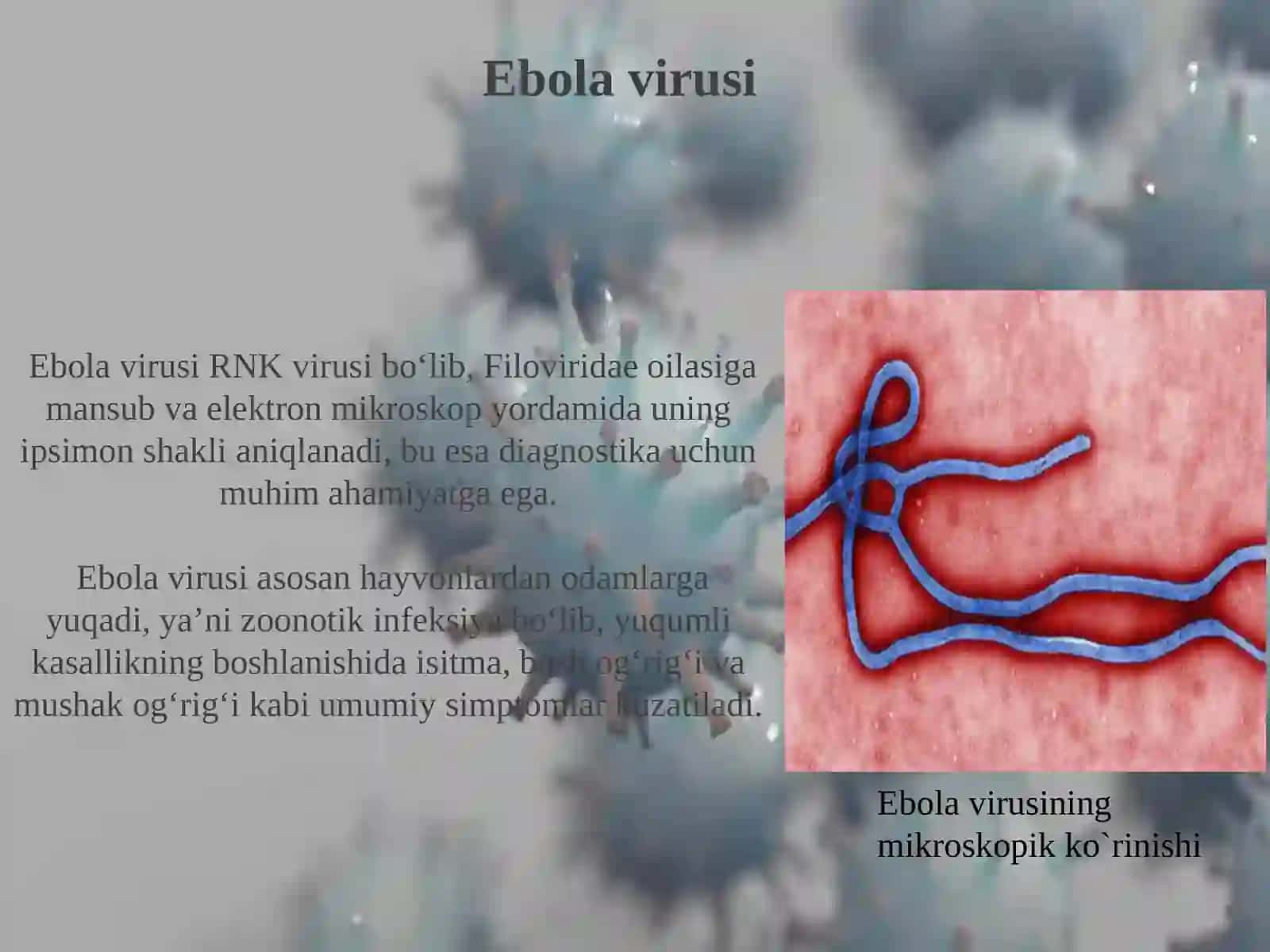 EBOLA, LASSA, ZIKA VIRUSLARI, KASALLIK PATOGENEZI, LABORATOR TASHXISI 4