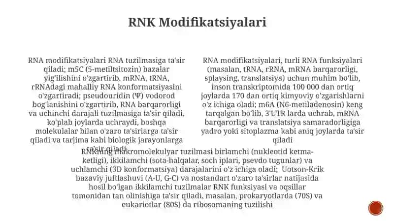 RNKning makromolekulyar strukturasi 4
