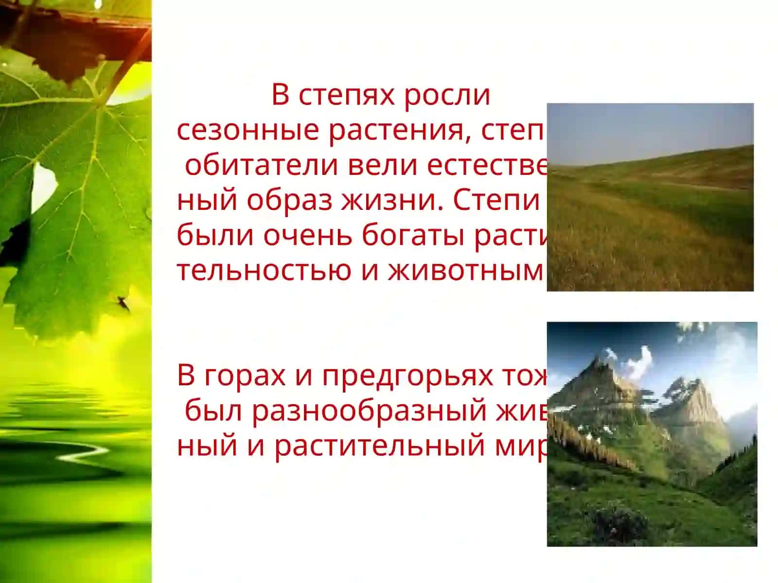 Воздействие человека на природу 4