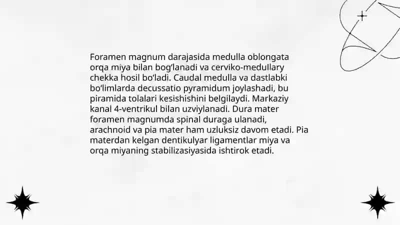 Markaziy nerv sistemasining anatomiyasi 4