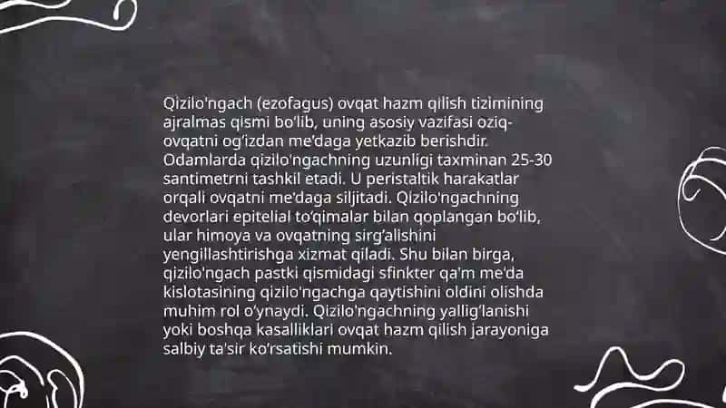 Qizilo'ngach 4