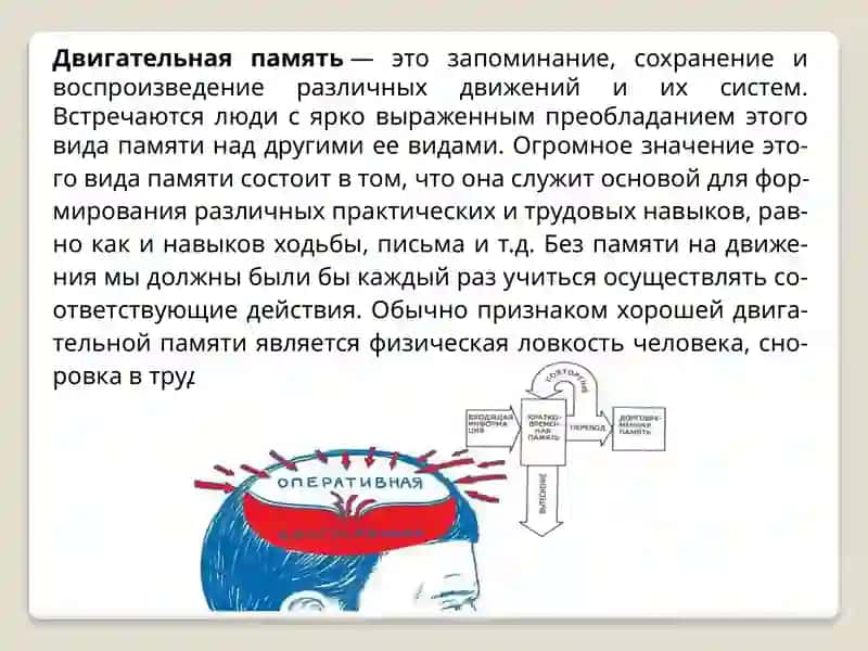 Виды памяти и их характеристика 4