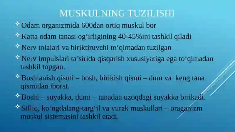 Muskullarning tuzilishi 4