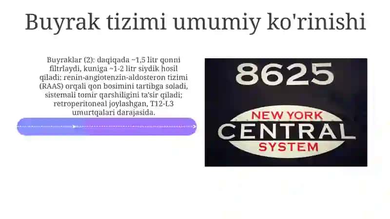 Buyrakning endokrin tizimi 4