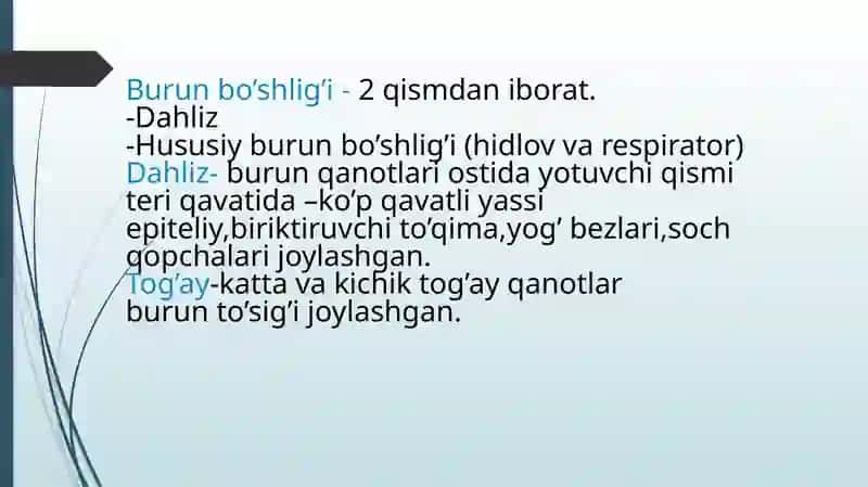 Nafas sistemasi gistologiyasi 4