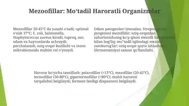 Mikroorganizmlarni guruhlarga bo'linishi 4