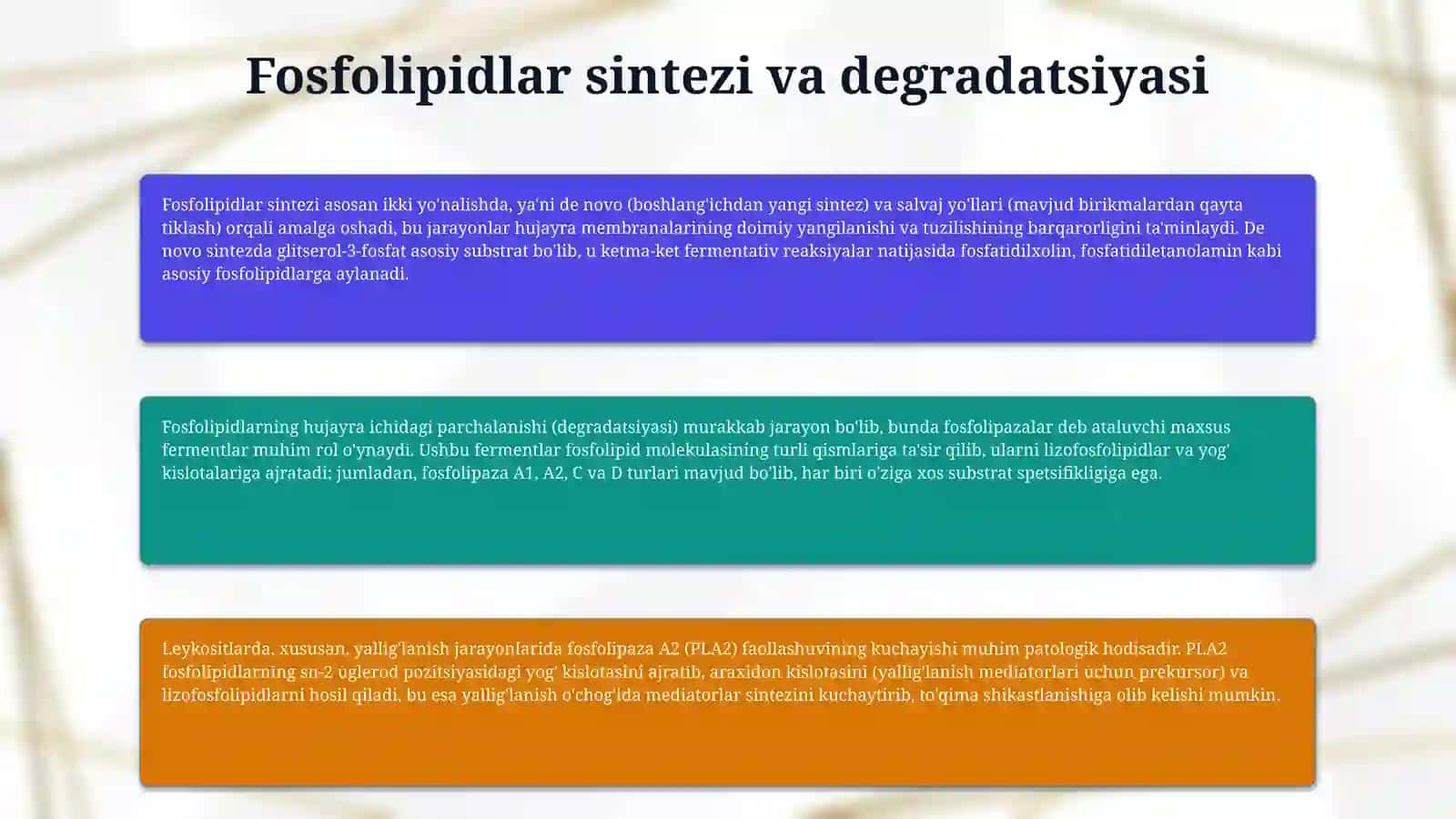 Fosfolipidlar almashinuvi buzilishi 4