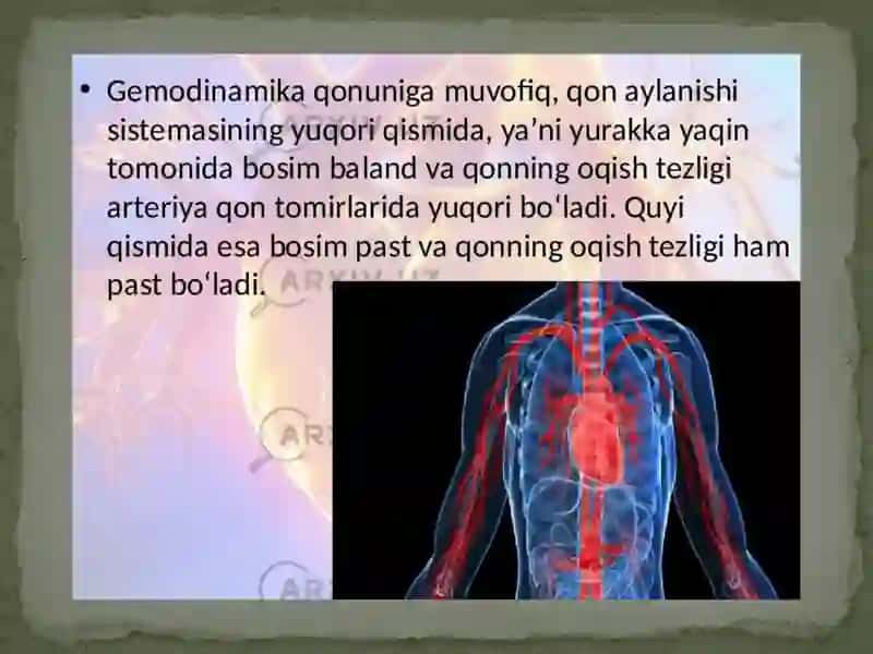 Gemodinamikafiziologiyasi 4