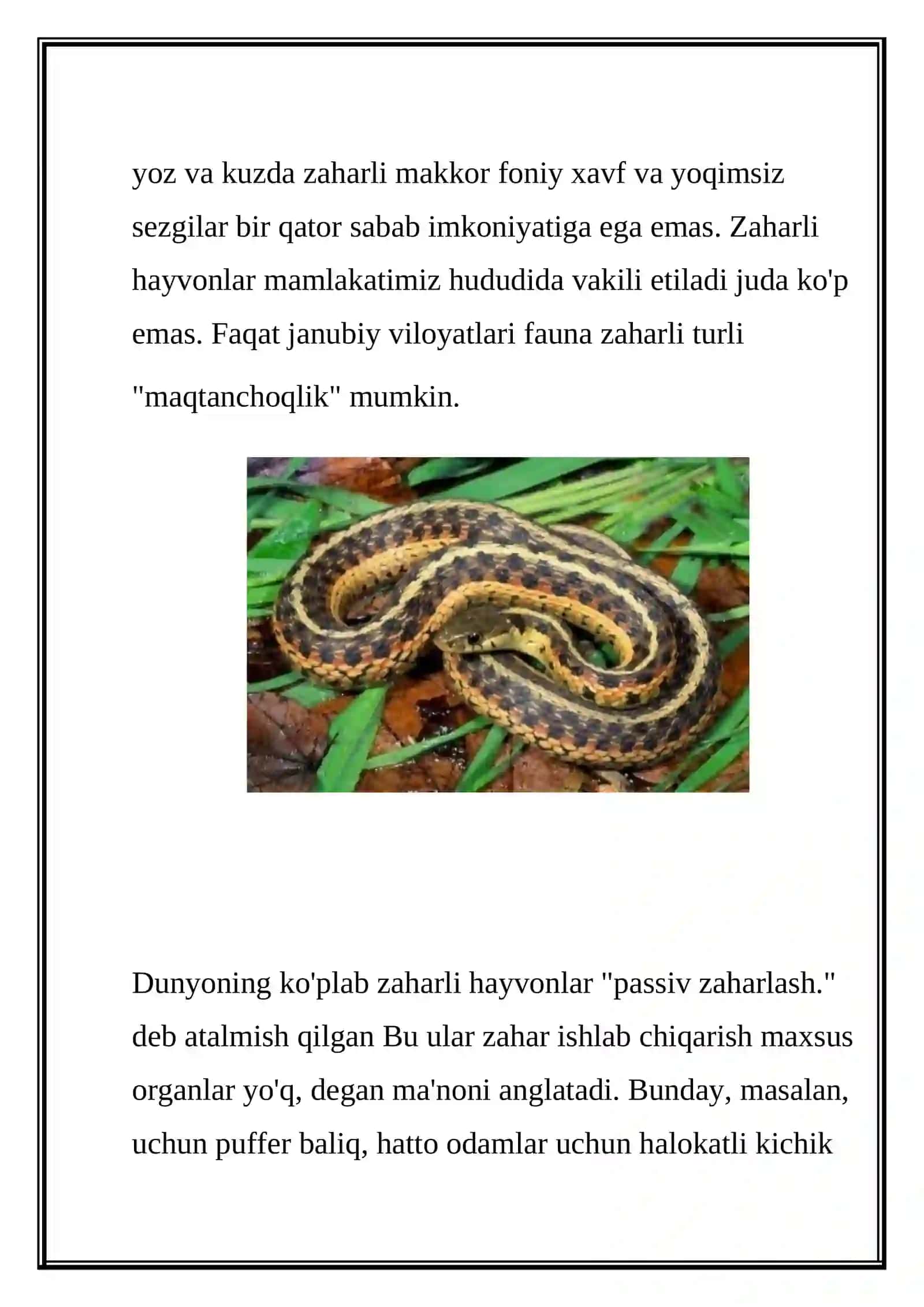Zaharli Hayvonlar 4