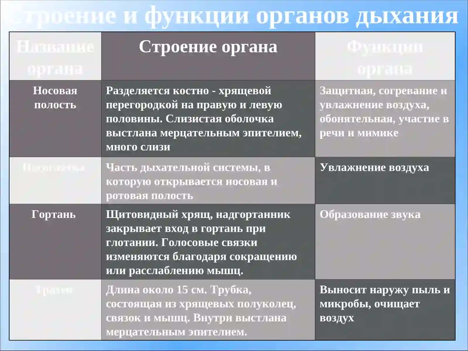 Органы дыхания, их строение.Дыхательные движения 4