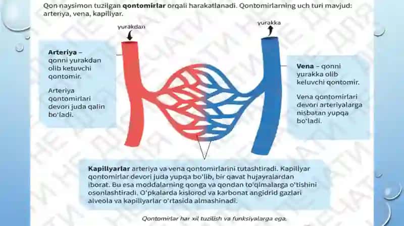 qonaylanishsistemasi2-qism 4