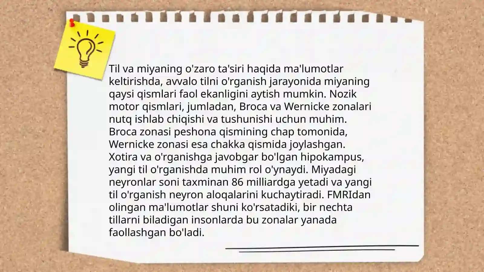 Neyrolingvistika va Tilshunoslik 4