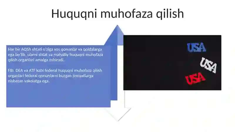 AQSh davlati va huquqi 4