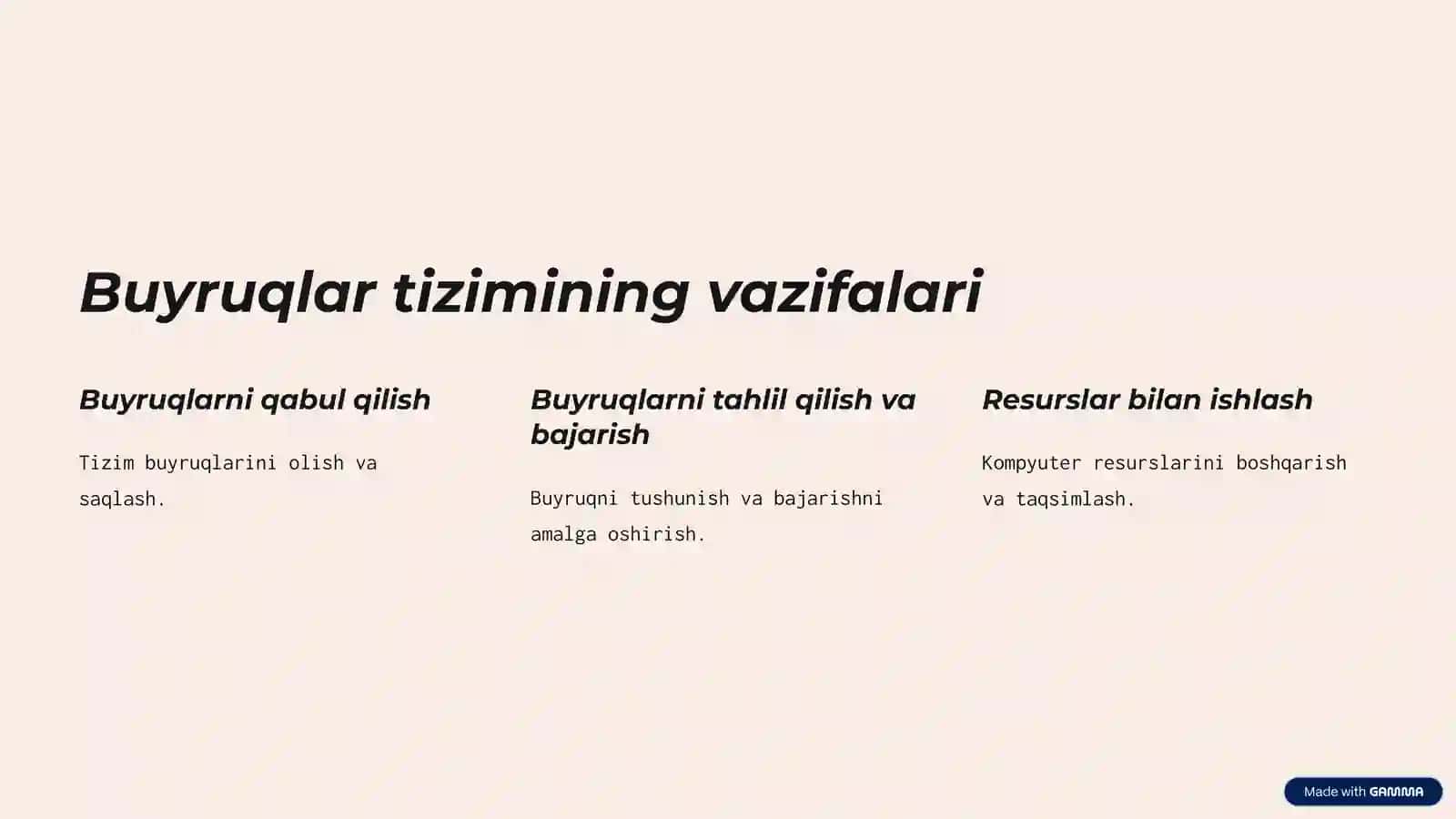 Buyruqlar tizimi arxitekturalari 4