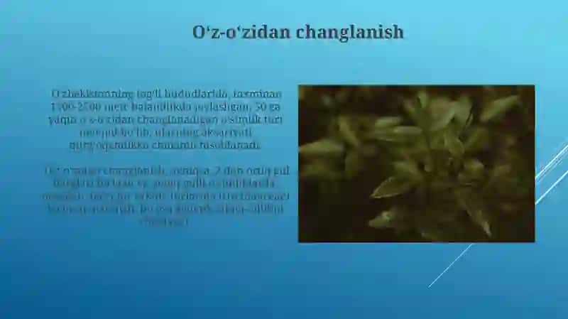 O'simliklarning gullash davri changlanish va urug'lanish xodisasi 4
