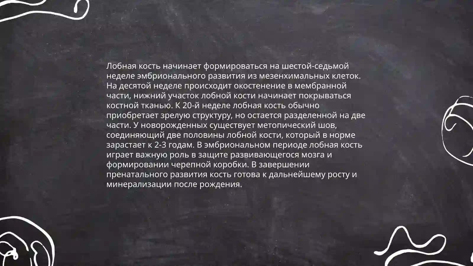 Анатомия лобной кости 4