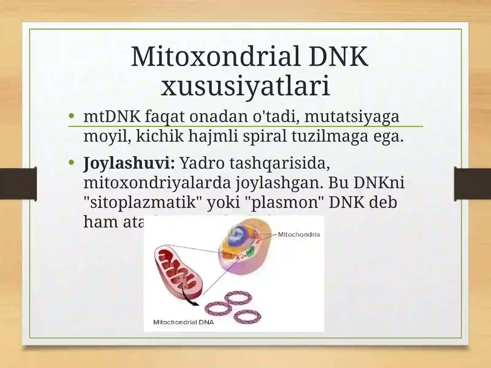 BIOKIMYO MUSTAQIL ISHI 4