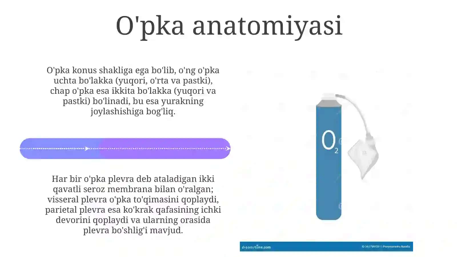 Nafas olish jarayoni 4