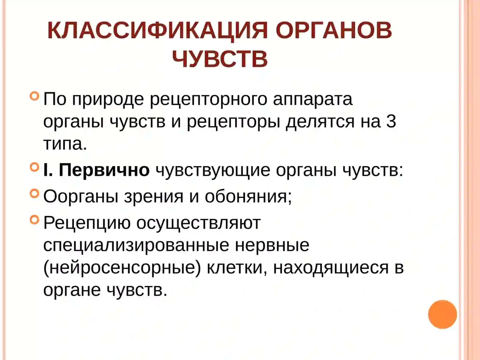 ОРГАН ЗРЕНИЯ 4