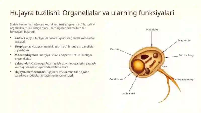 Mikrobiologiya 4