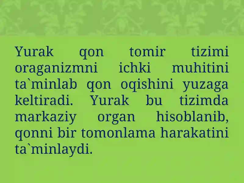 Maxsus pedagogika (logopediya) yo’nalishi 101 4