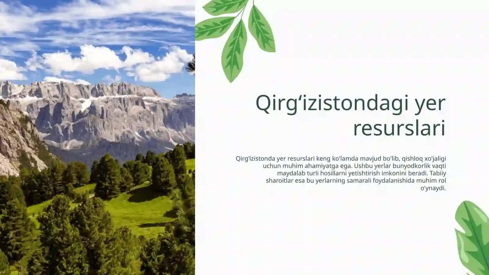 Qirgʻiziston tabiiy resurslar va tabiiy sharoitilari 4