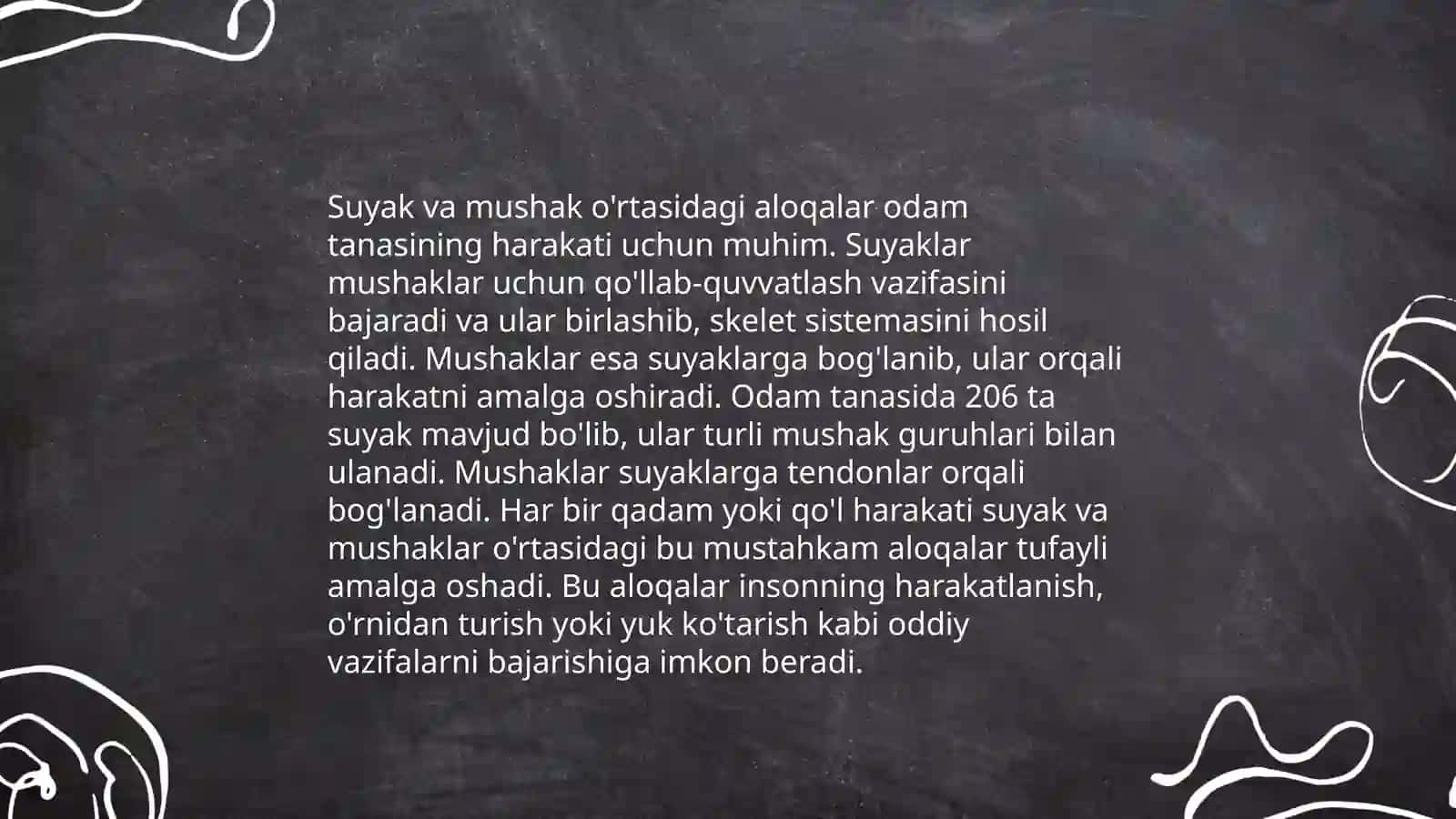 Muskul sistemasi anatomiyasi 4