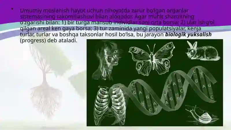 ORGANIK OLAM EVOLUTSIYASINING ASOSIY YO‘NALISHLARI 4