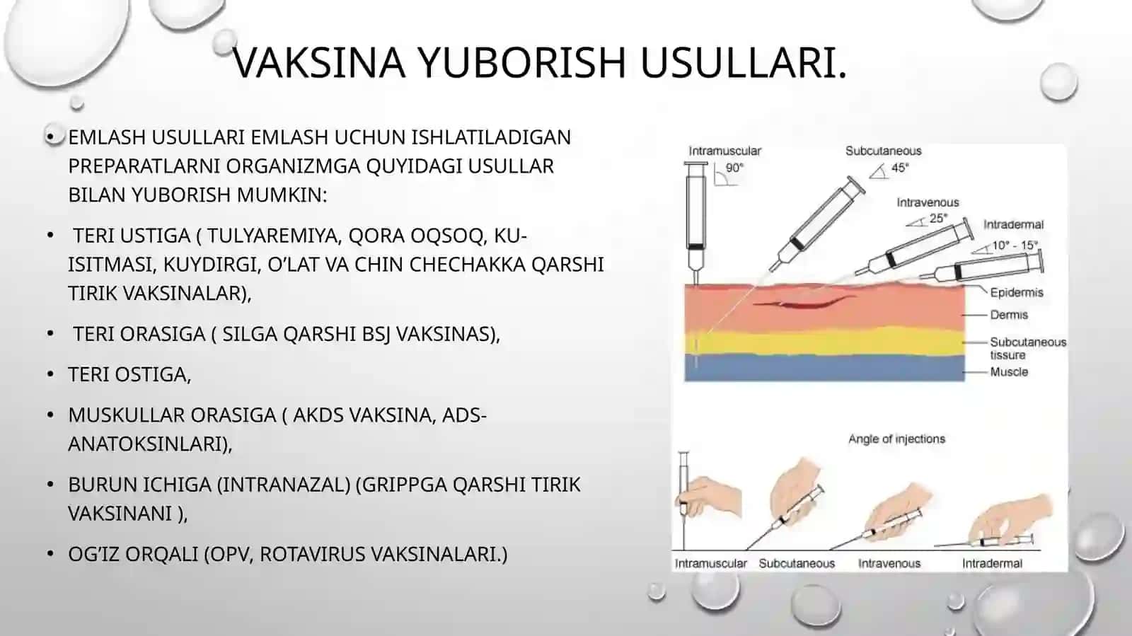 Emlash kalendar rejasini tuzish asoslari 4