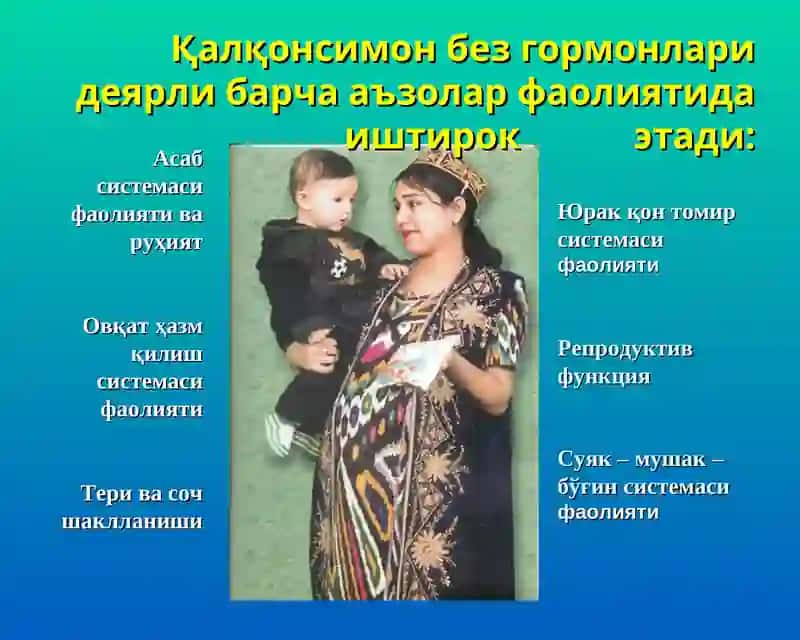 Тиреоид гормонлар 4